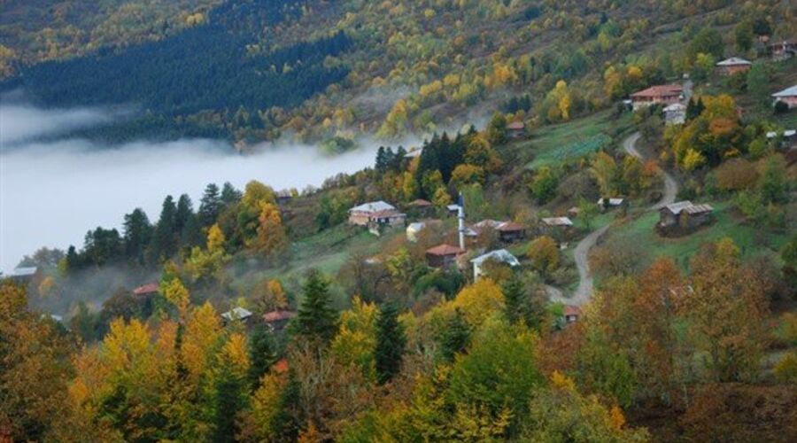 Azdavay Daday Kastamonu Turu Butik Herşey Dahil (1 Gece Otel)